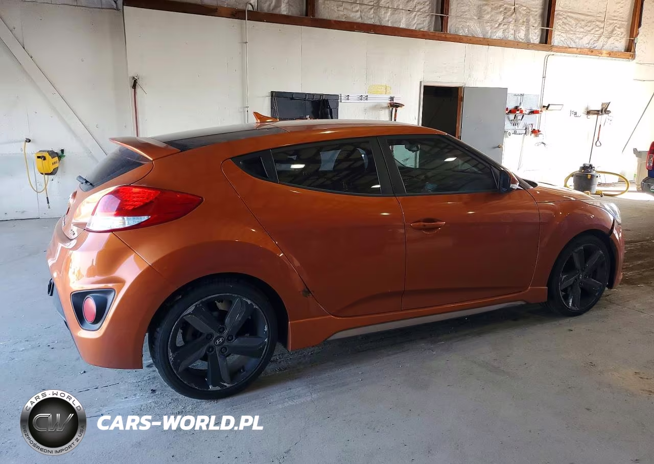 2013 Hyundai Veloster Turbo VIN:KMHTC6AE7DU143328 - 3