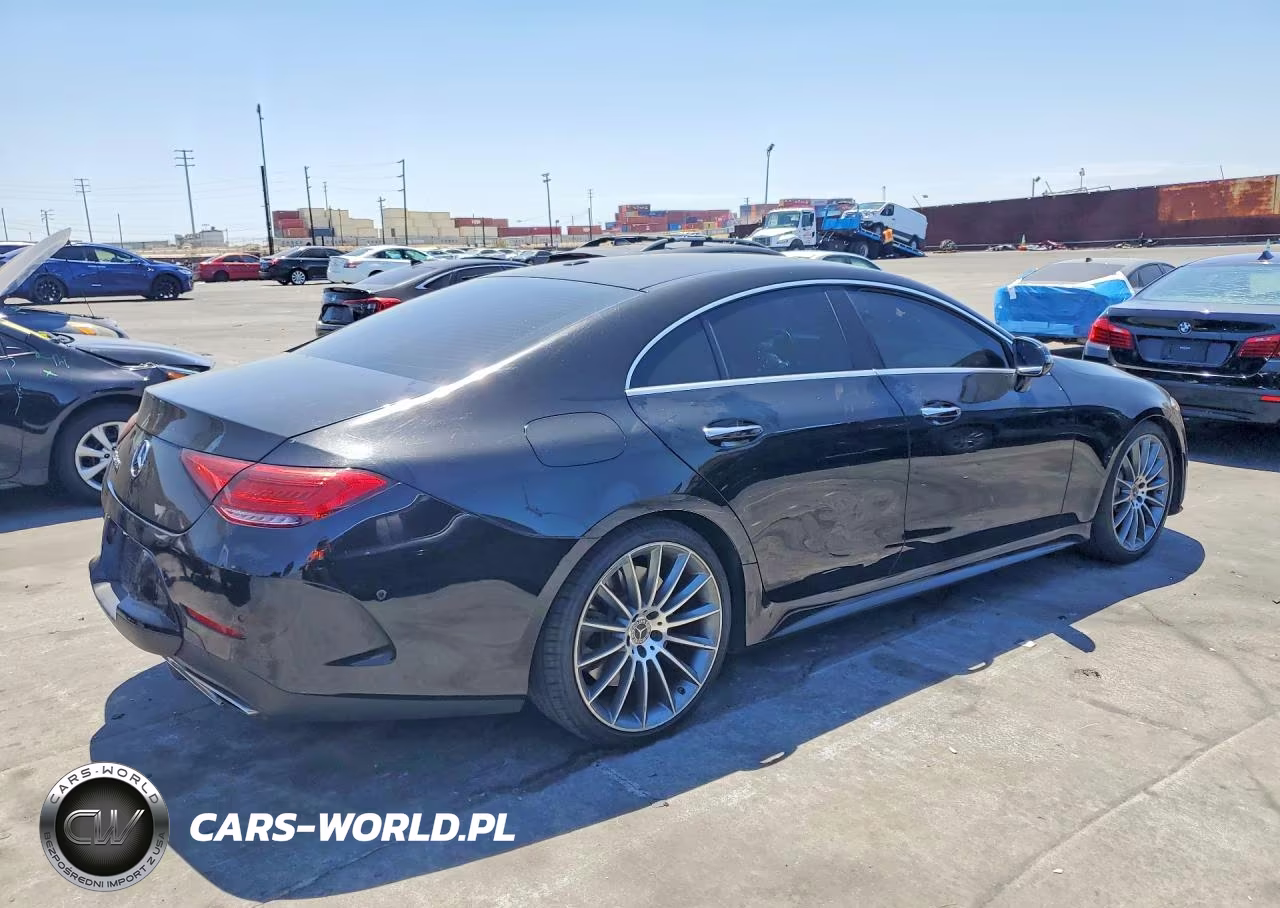 2019 Mercedes-Benz Cls 450 VIN:WDD2J5JB4KA012075 - 3