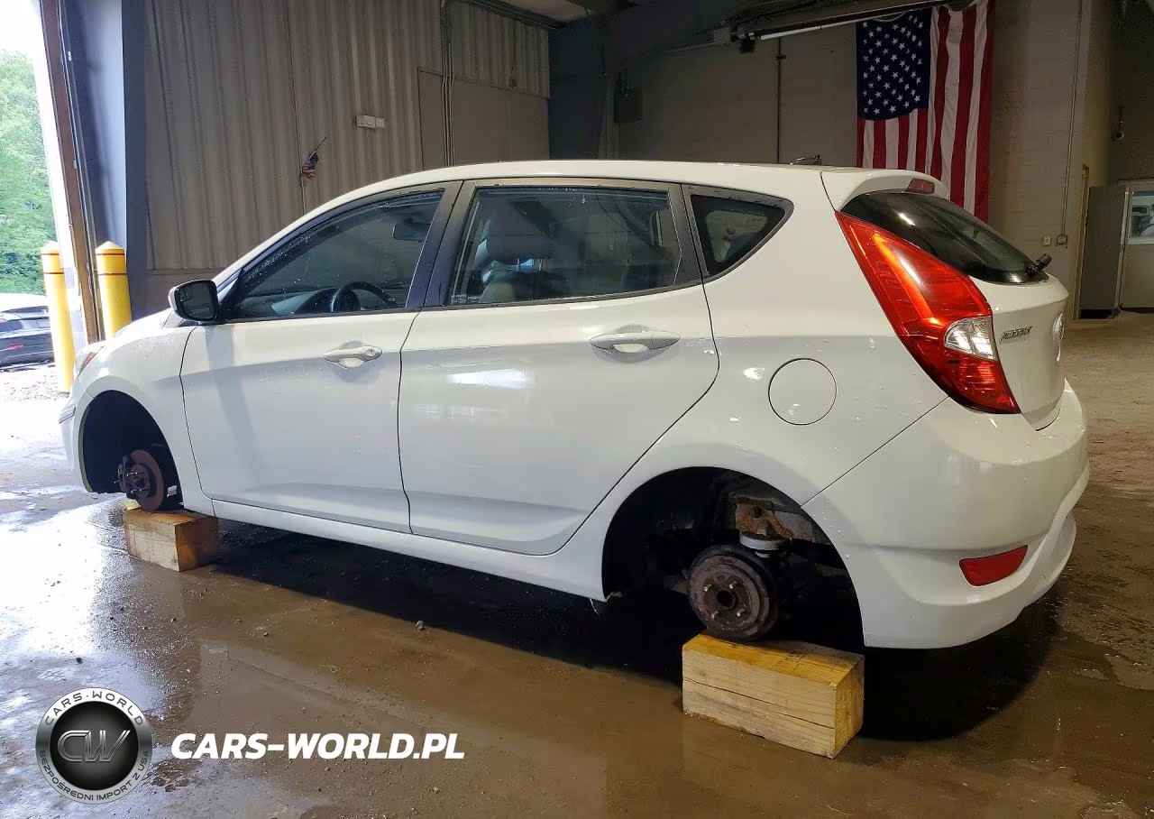 2015 Hyundai Accent Gs VIN:KMHCT5AE1FU216318 - 2