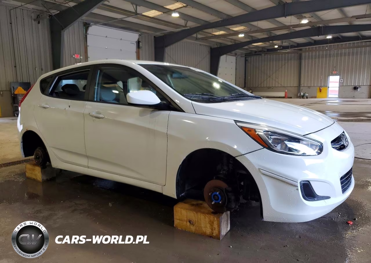 2015 Hyundai Accent Gs VIN:KMHCT5AE1FU216318 - 4