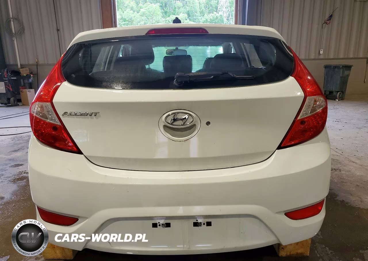 2015 Hyundai Accent Gs VIN:KMHCT5AE1FU216318 - 6