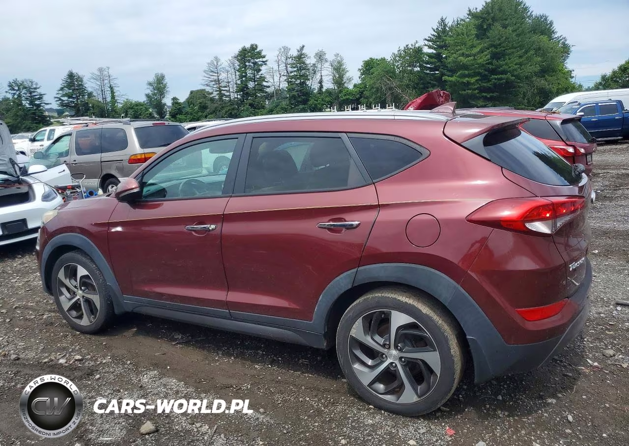 2016 Hyundai Tucson Limited VIN:KM8J33A23GU058258 - 2