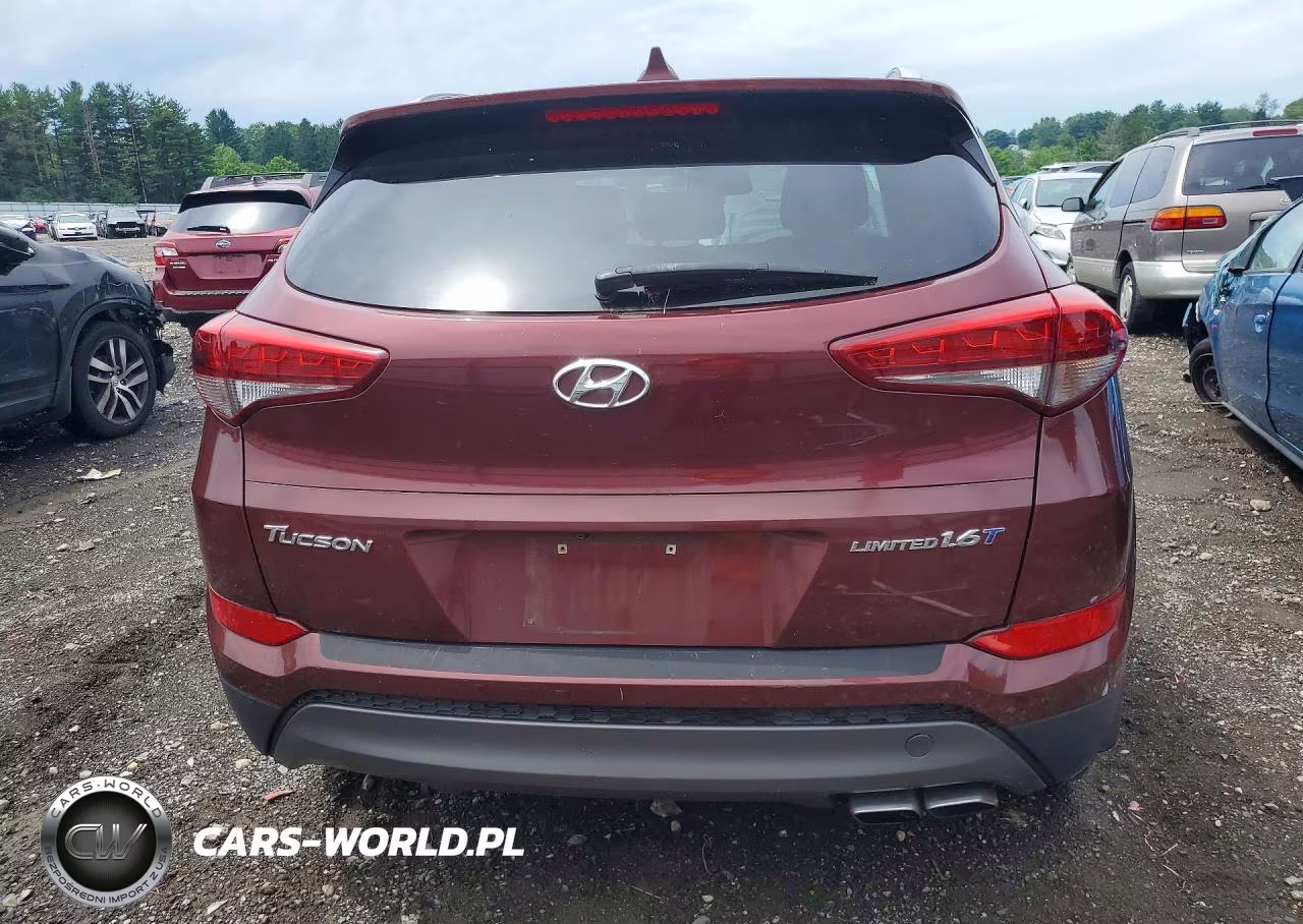 2016 Hyundai Tucson Limited VIN:KM8J33A23GU058258 - 6