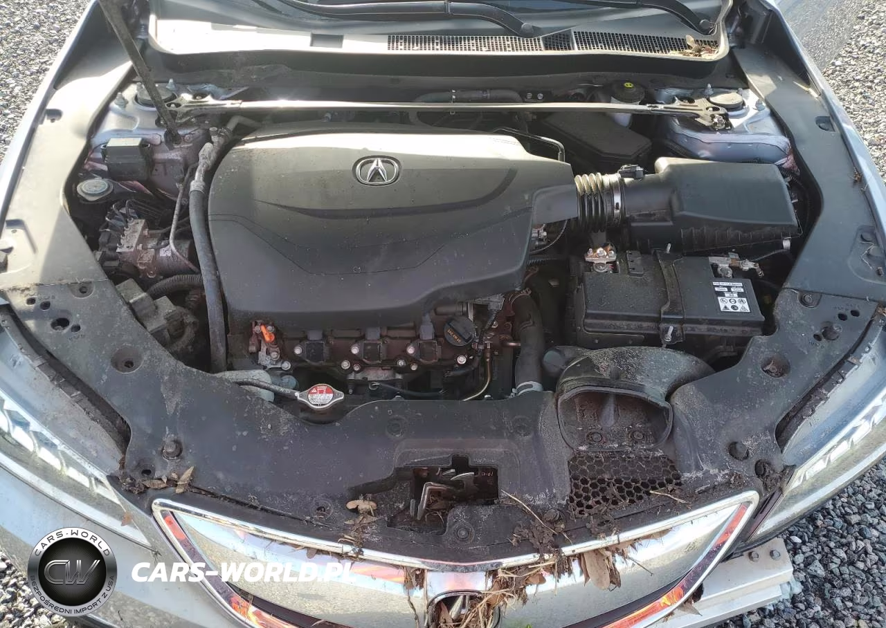 2015 Acura Tlx Tech VIN:19UUB2F54FA009816 - 11