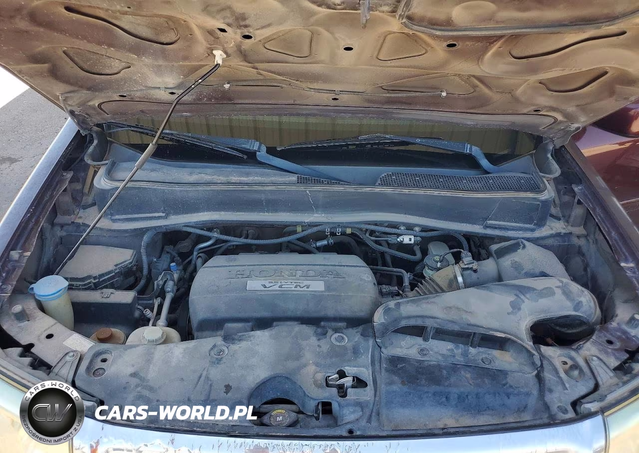 2009 Honda Pilot Exl VIN:5FNYF38579B006511 - 12