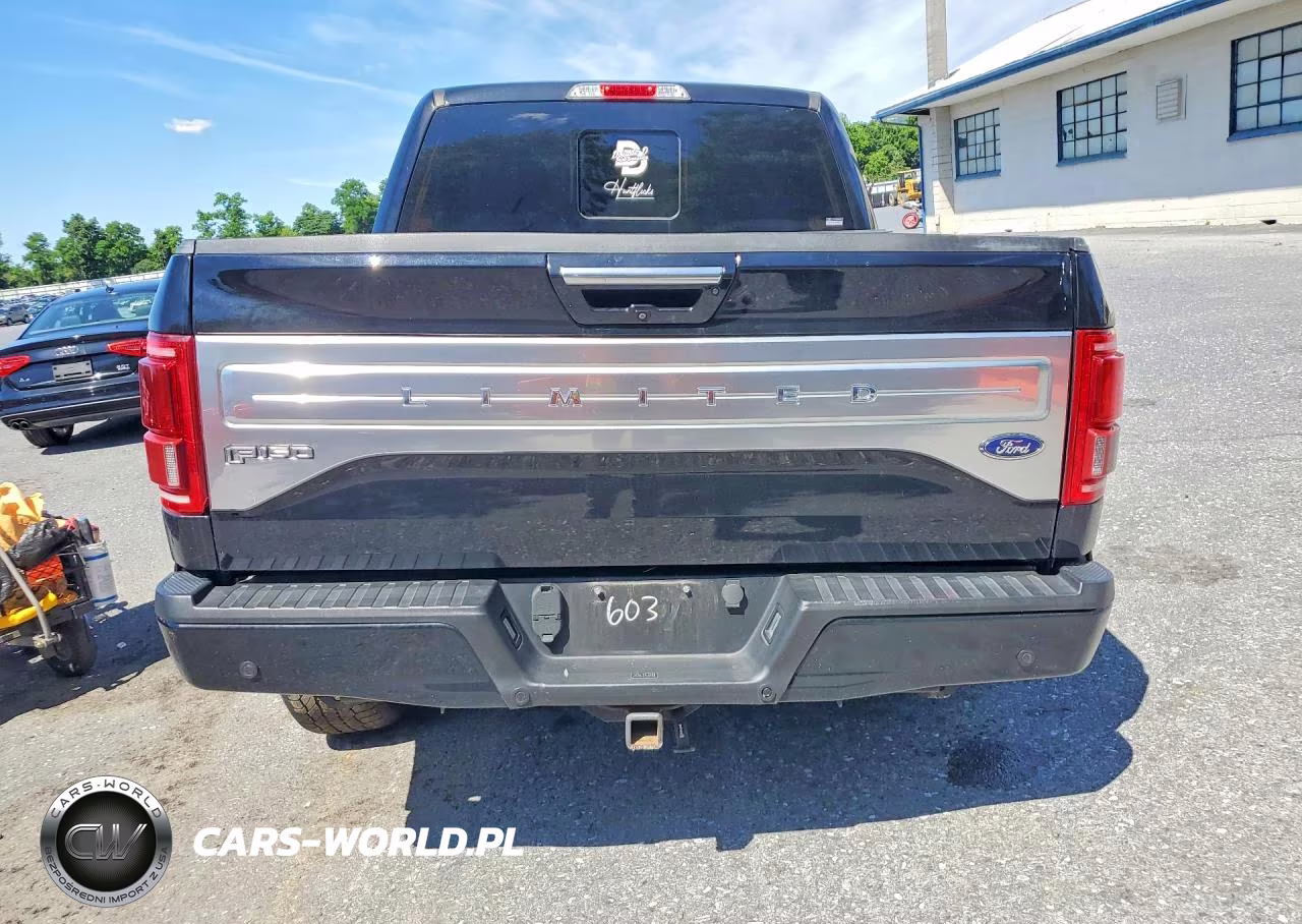 2017 Ford F150 Supercrew VIN:1FTEW1EG5HFA00603 - 6