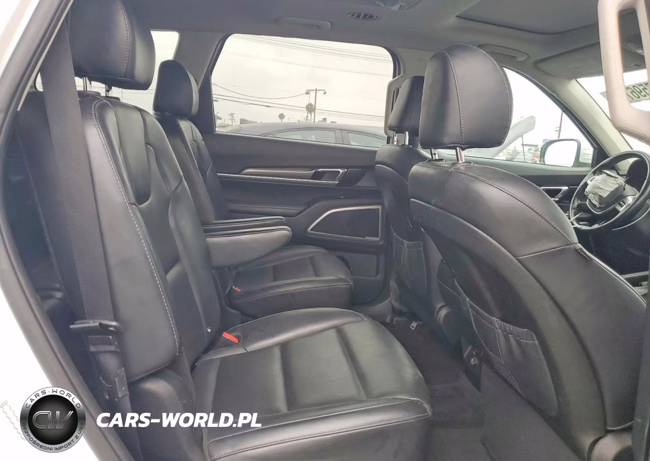 2020 Kia Telluride S VIN:5XYP64HC9LG066841 - 11