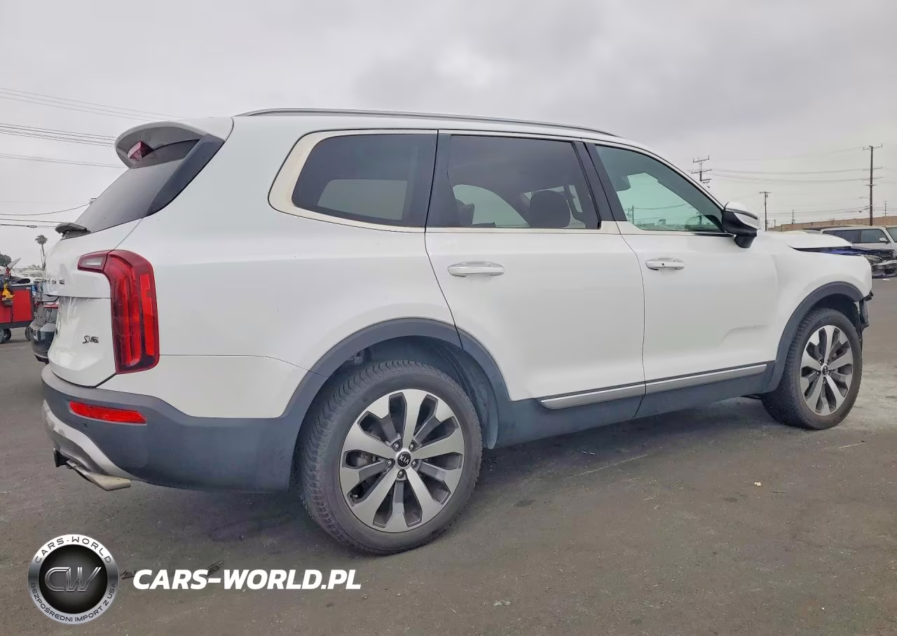 2020 Kia Telluride S VIN:5XYP64HC9LG066841 - 3