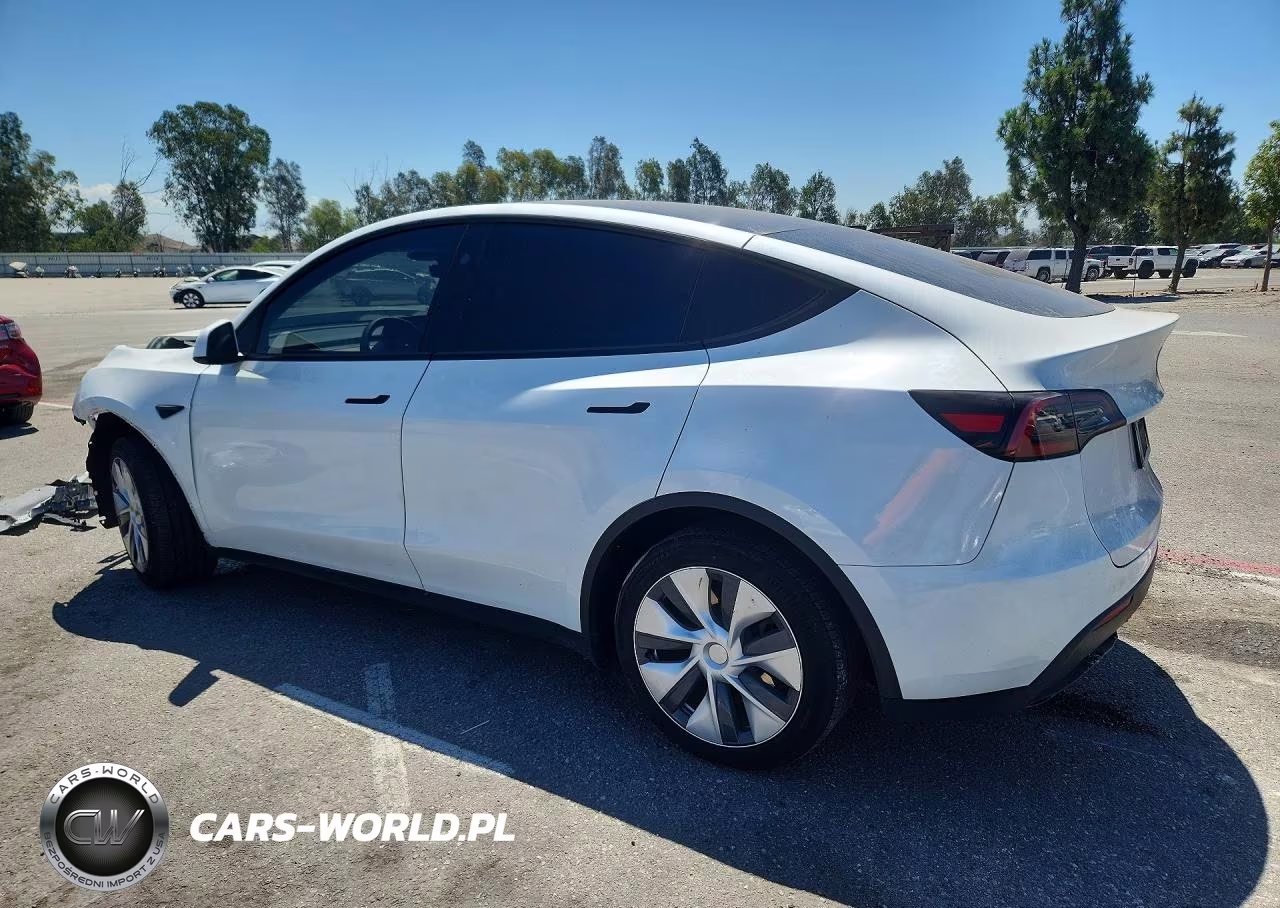 2024 Tesla Model Y VIN:7SAYGDED3RF047901 - 2