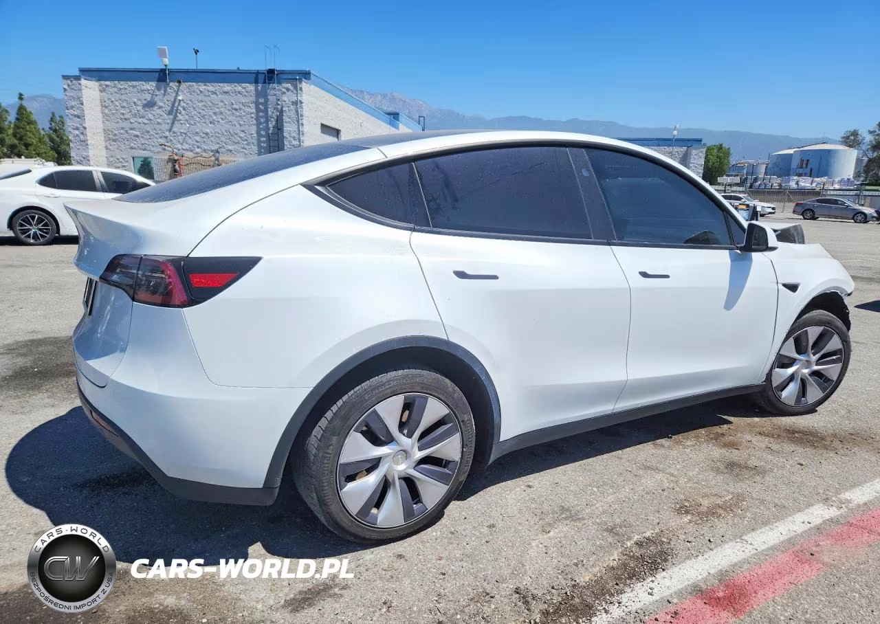 2024 Tesla Model Y VIN:7SAYGDED3RF047901 - 3