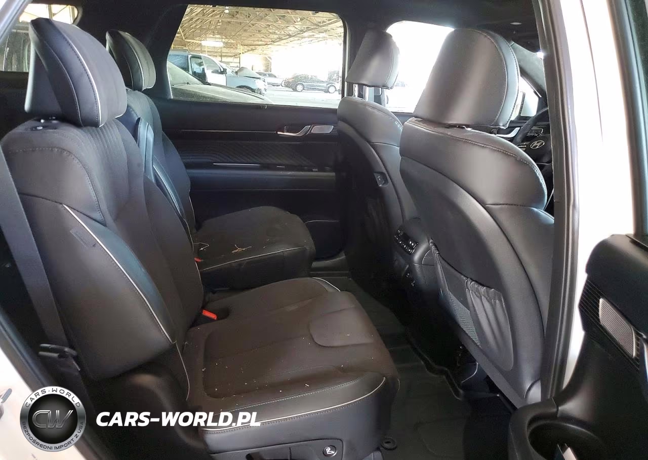 2025 Hyundai Palisade Calligraphy Night Edition VIN:KM8R7DGE0SU953973 - 10