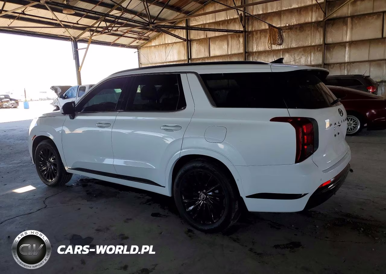 2025 Hyundai Palisade Calligraphy Night Edition VIN:KM8R7DGE0SU953973 - 2