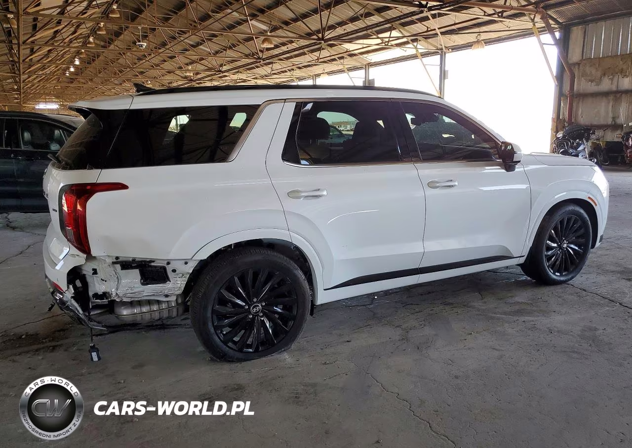 2025 Hyundai Palisade Calligraphy Night Edition VIN:KM8R7DGE0SU953973 - 3