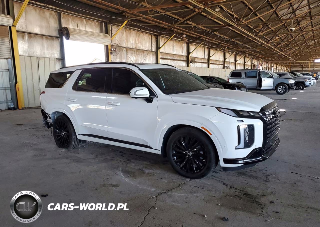 2025 Hyundai Palisade Calligraphy Night Edition VIN:KM8R7DGE0SU953973 - 4