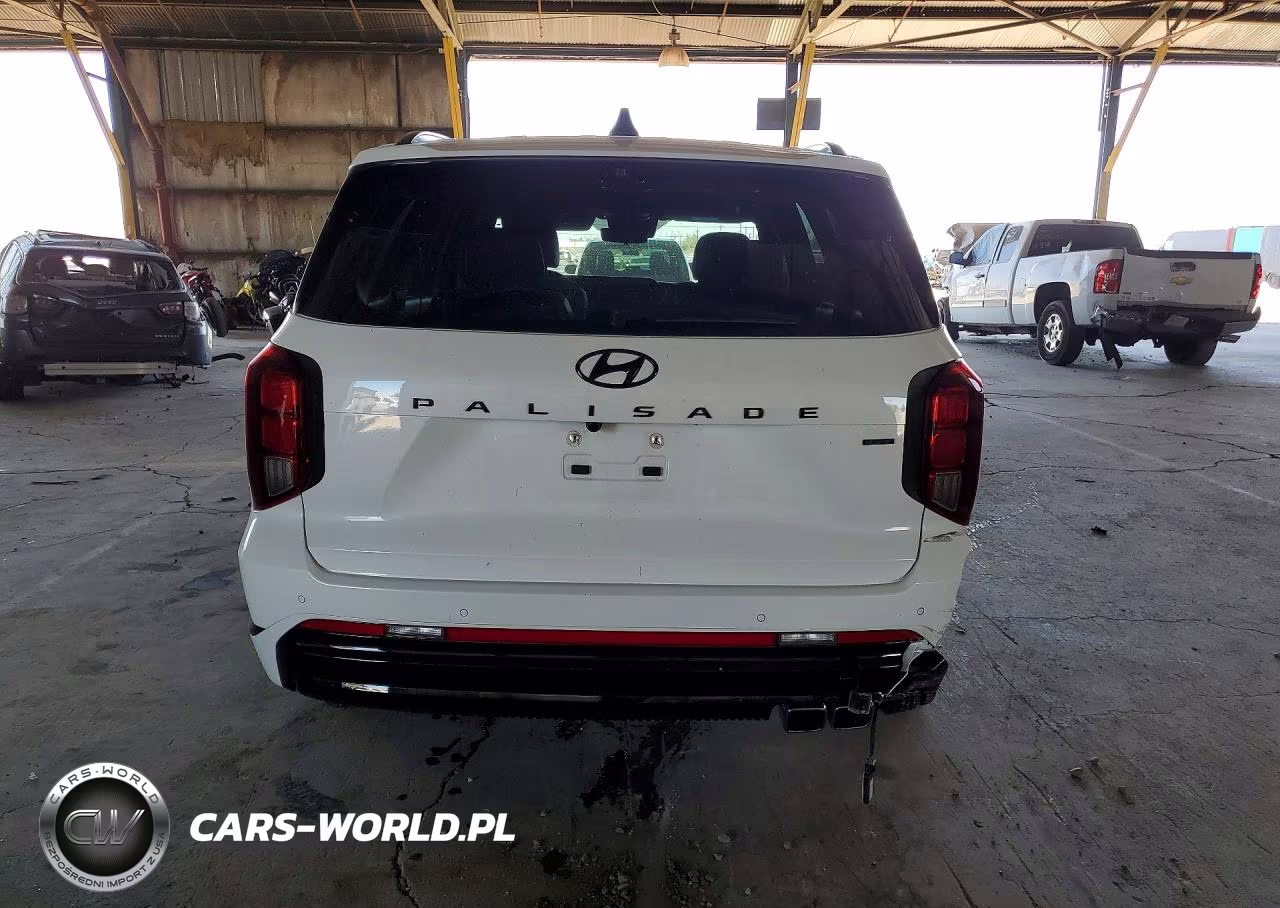 2025 Hyundai Palisade Calligraphy Night Edition VIN:KM8R7DGE0SU953973 - 6