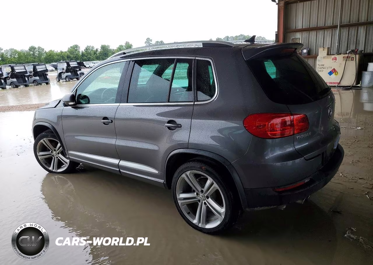 2014 Volkswagen Tiguan S VIN:WVGAV3AX9EW011145 - 2