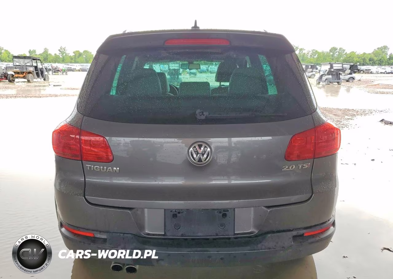 2014 Volkswagen Tiguan S VIN:WVGAV3AX9EW011145 - 6