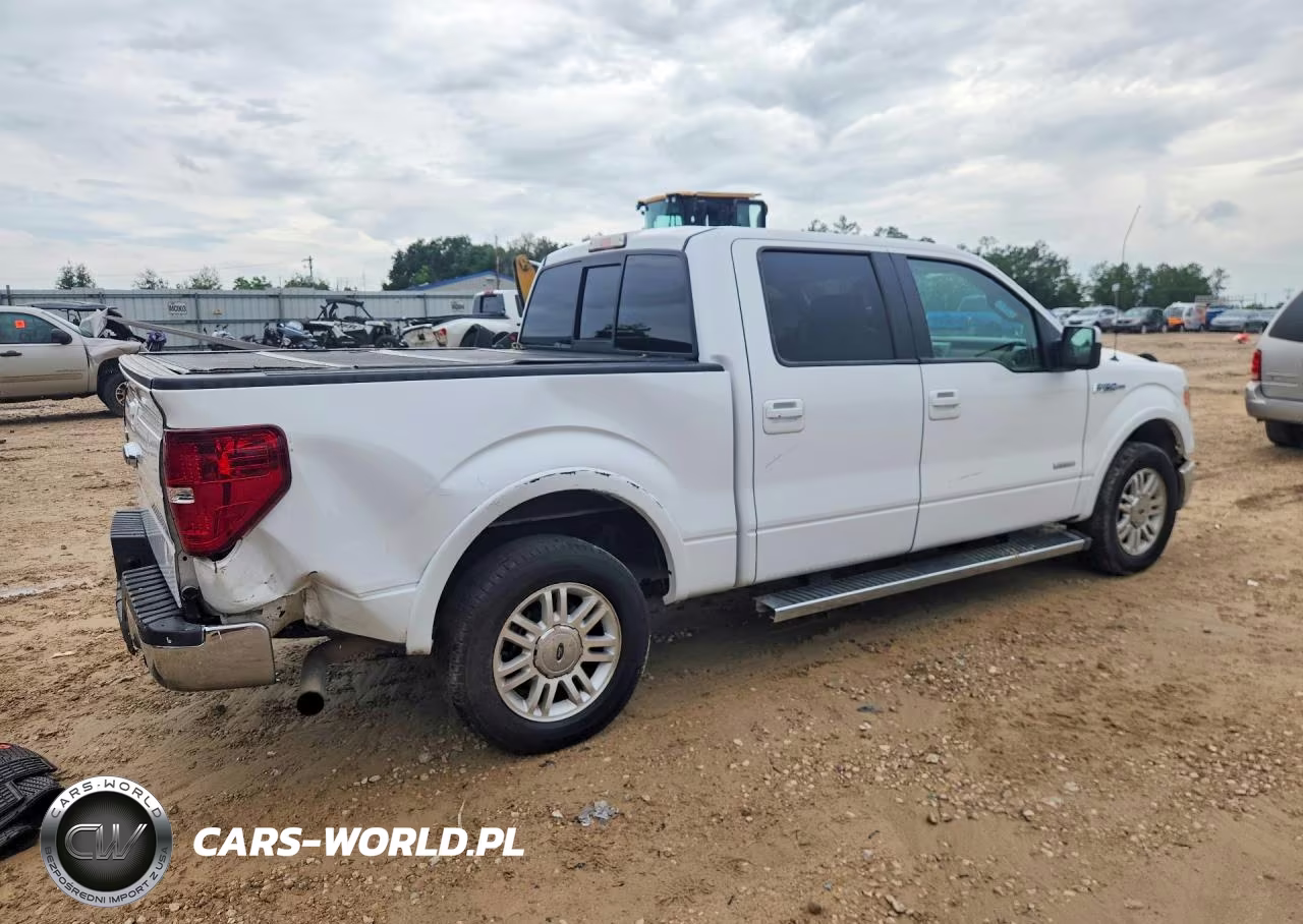 2014 Ford F150 Platinum VIN:1FTFW1CT6EKF30344 - 3