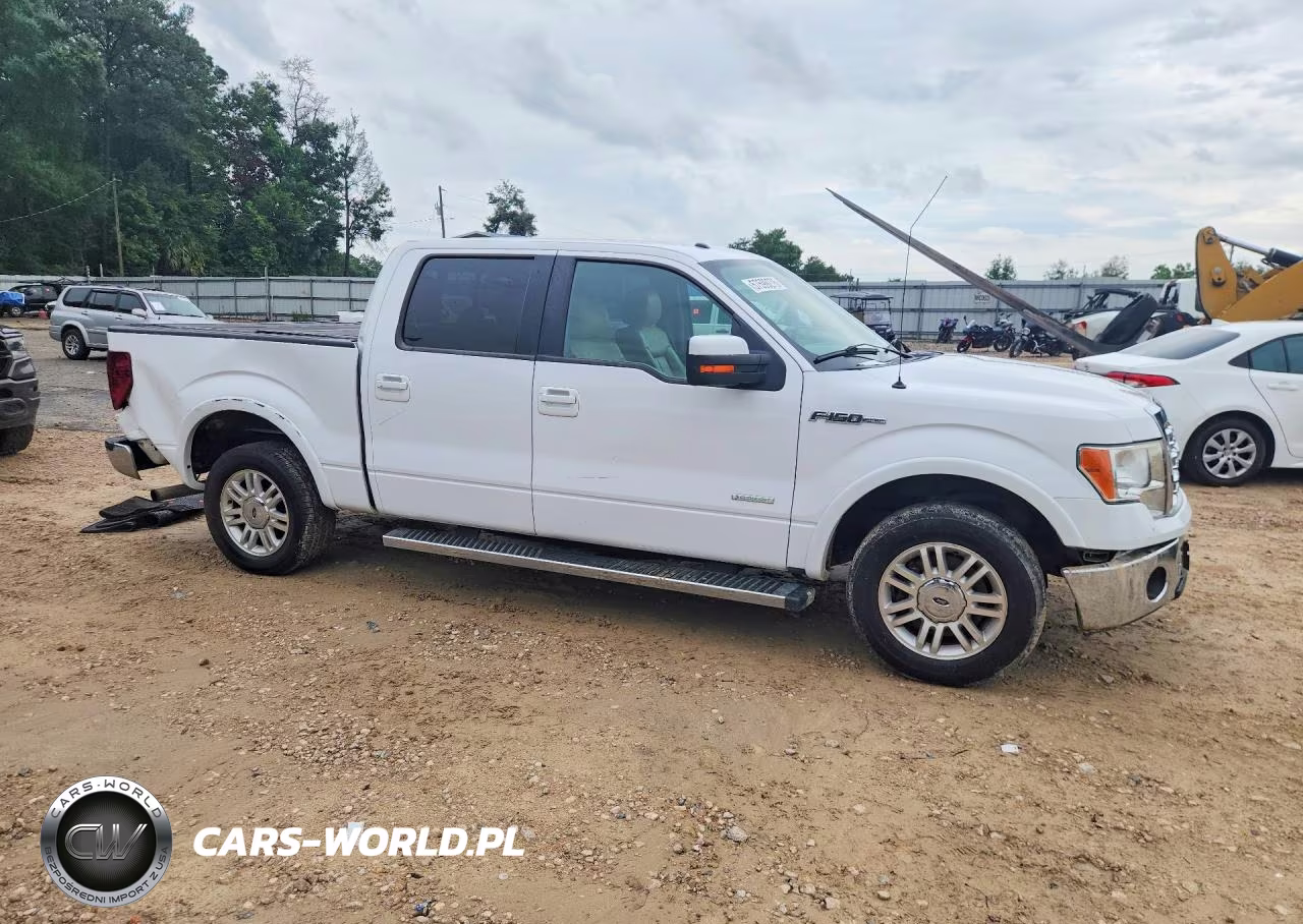 2014 Ford F150 Platinum VIN:1FTFW1CT6EKF30344 - 4