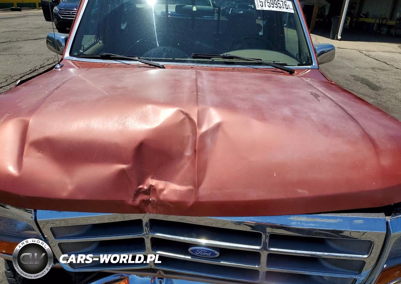 1995 Ford F150 VIN:1FTEF14NXSLA88220 - 11