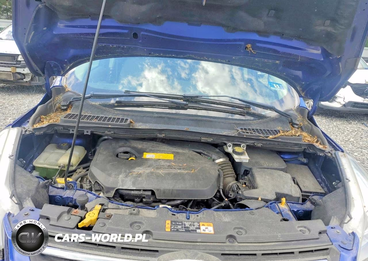 2016 Ford Escape Se VIN:1FMCU9GXXGUB21044 - 12