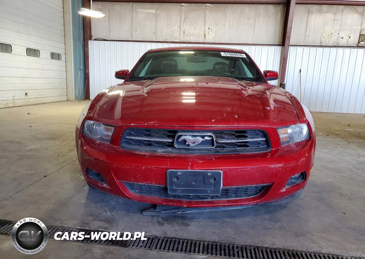 2010 Ford Mustang VIN:1ZVBP8ANXA5153838 - 5