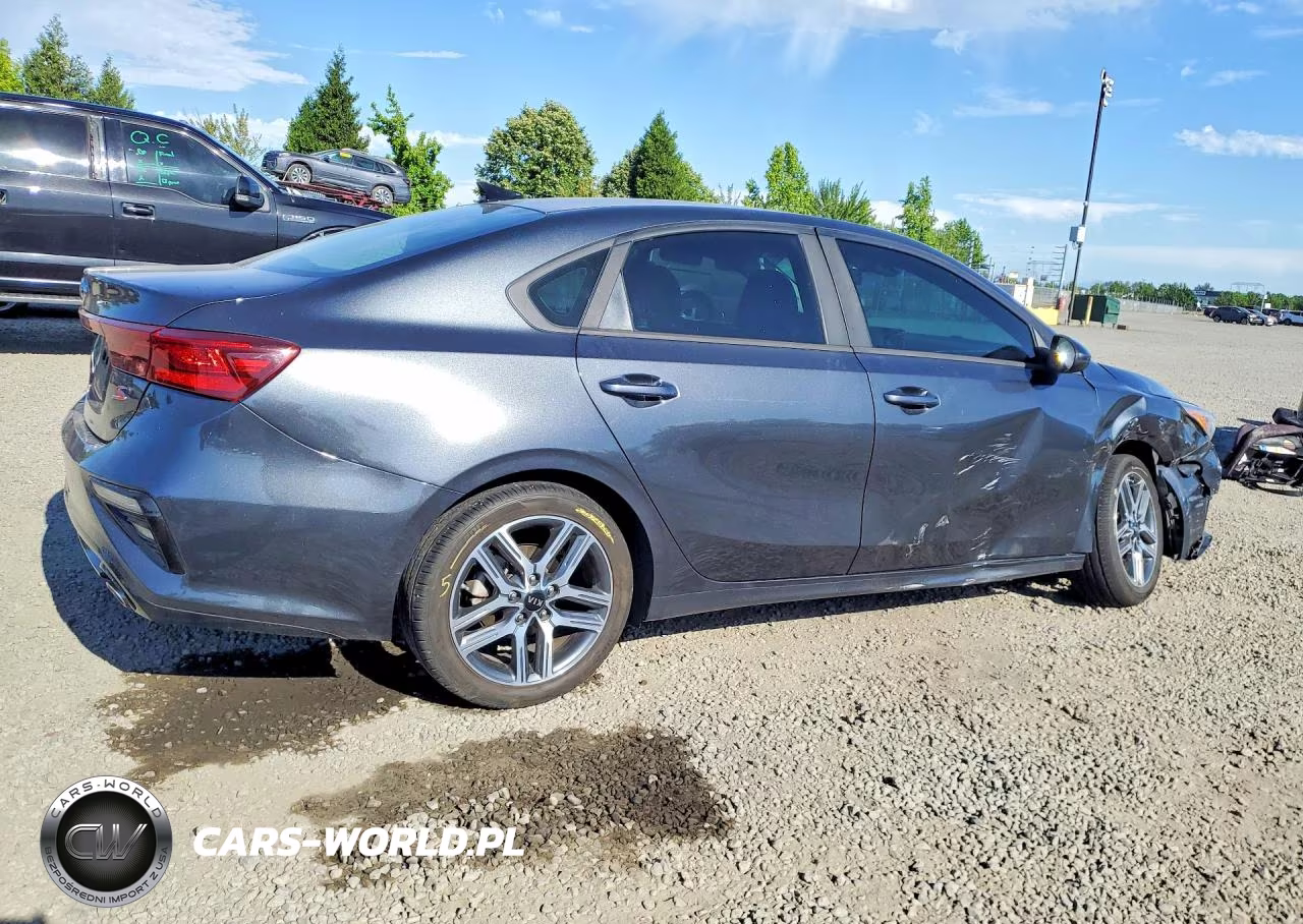 2019 Kia Forte S VIN:3KPF34AD7KE023036 - 3
