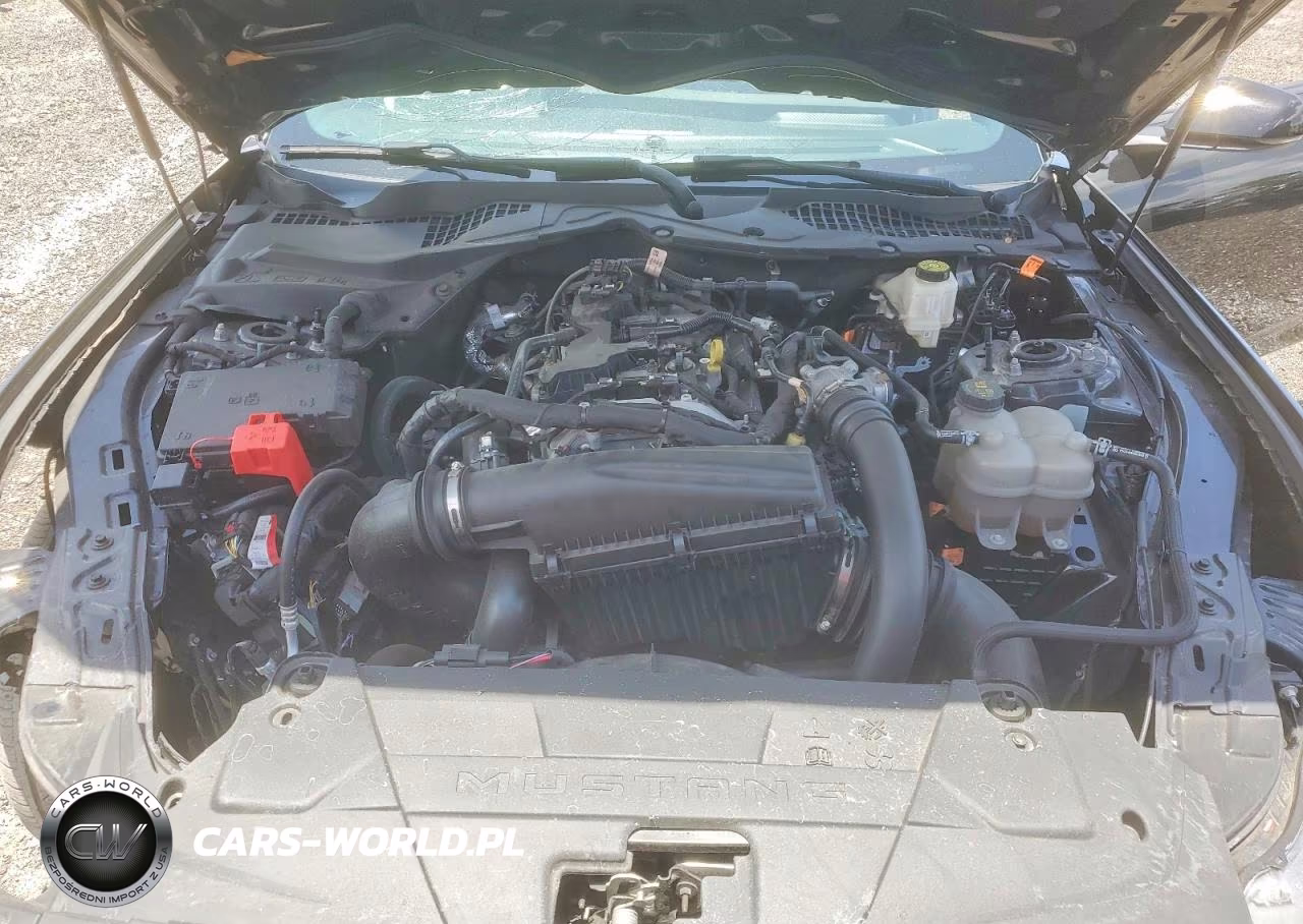 2024 Ford Mustang VIN:1FA6P8TH1R5109658 - 11