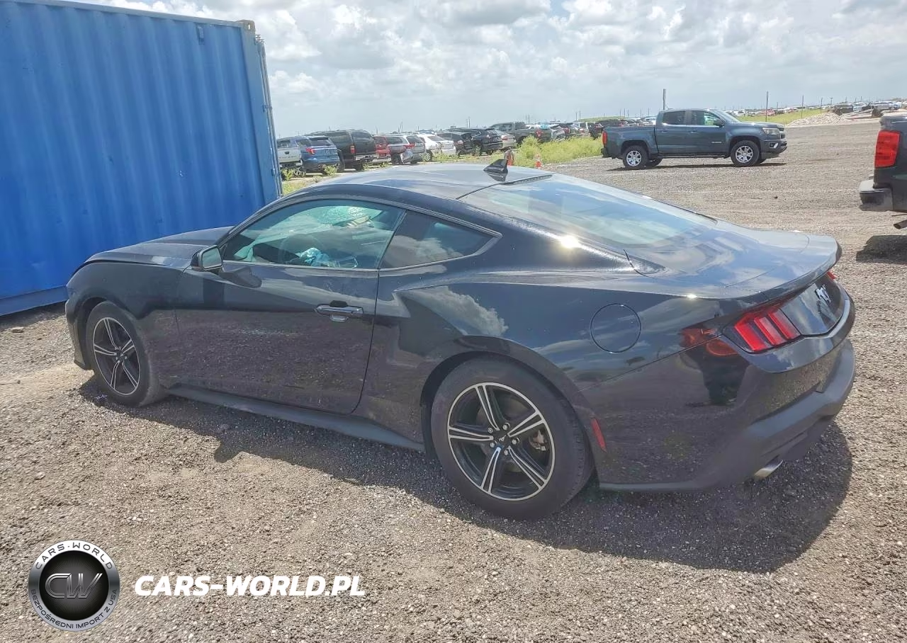 2024 Ford Mustang VIN:1FA6P8TH1R5109658 - 2