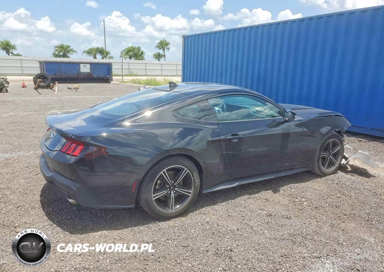 2024 Ford Mustang VIN:1FA6P8TH1R5109658 - 3