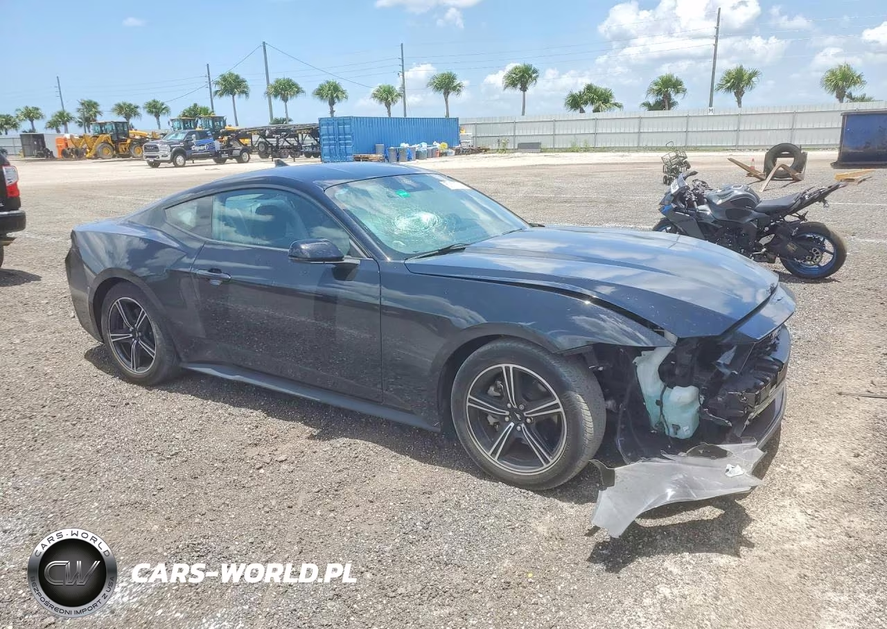 2024 Ford Mustang VIN:1FA6P8TH1R5109658 - 4