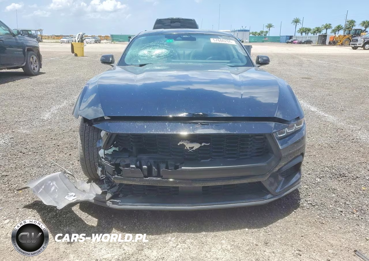 2024 Ford Mustang VIN:1FA6P8TH1R5109658 - 5