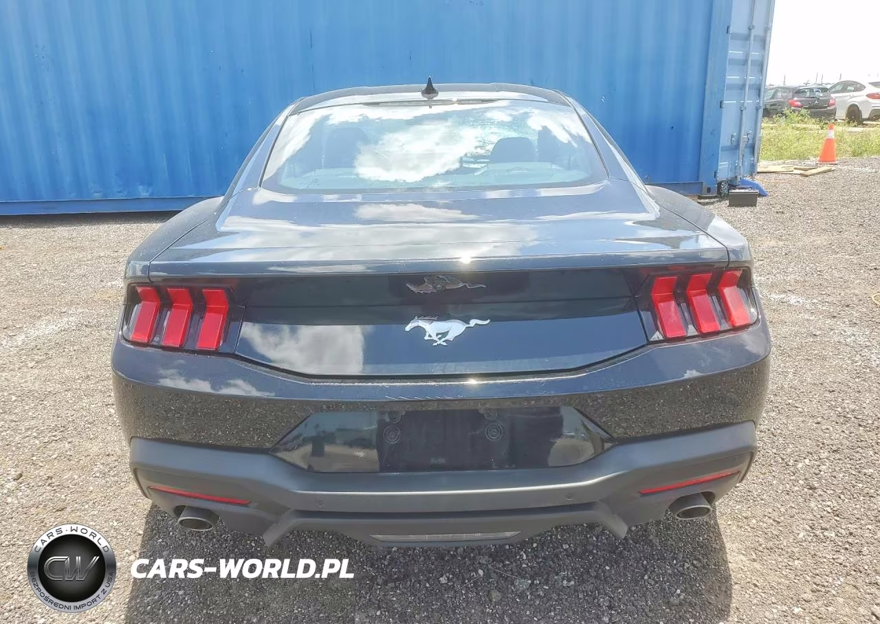 2024 Ford Mustang VIN:1FA6P8TH1R5109658 - 6