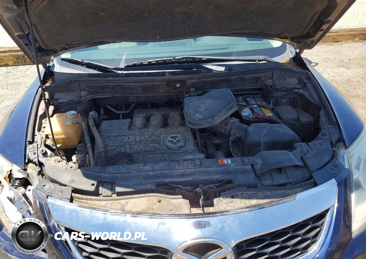 2010 Mazda Cx-9 VIN:JM3TB2MVXA0224264 - 11