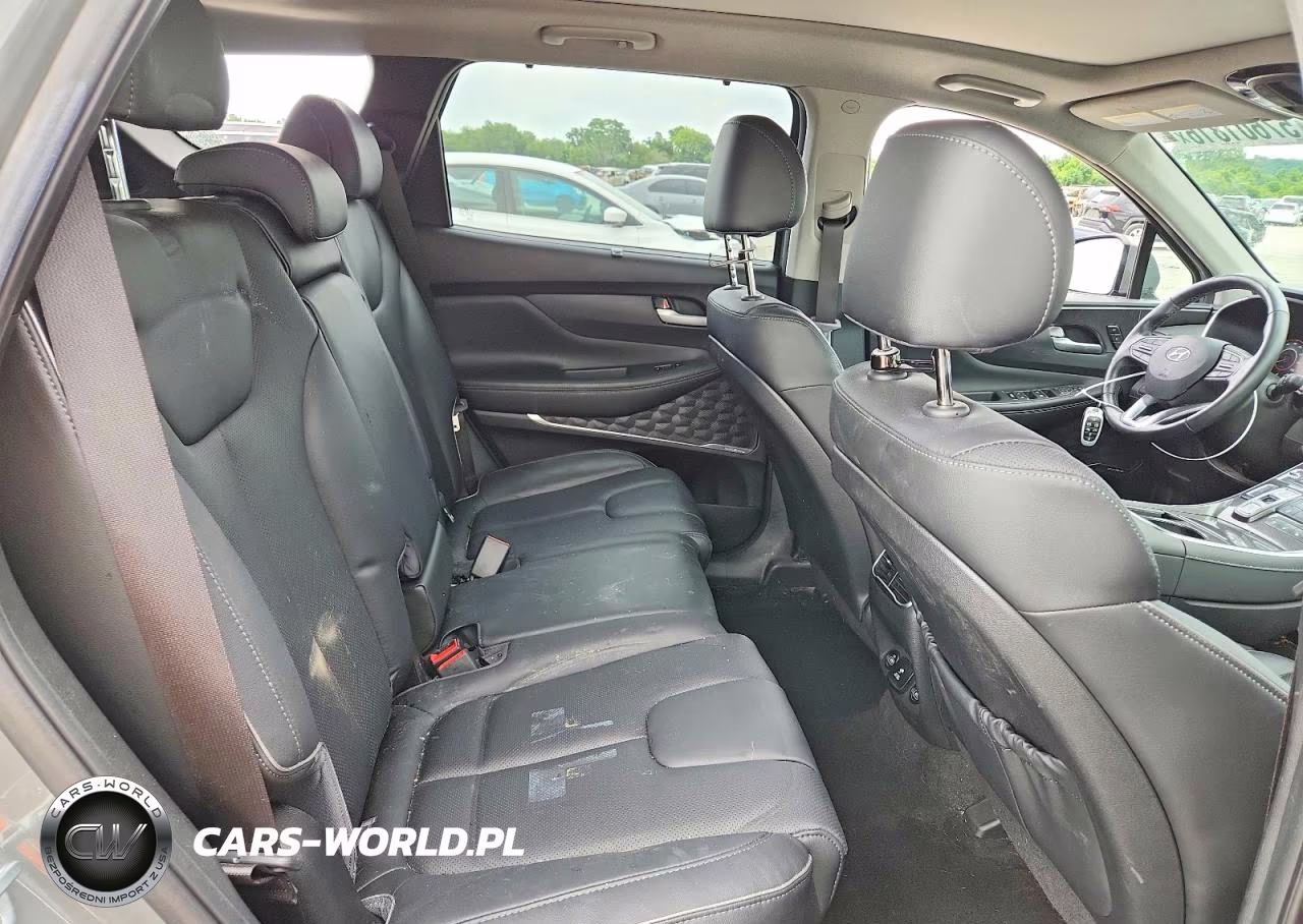 2023 Hyundai Santa Fe Limited VIN:5NMS4DAL7PH577518 - 11