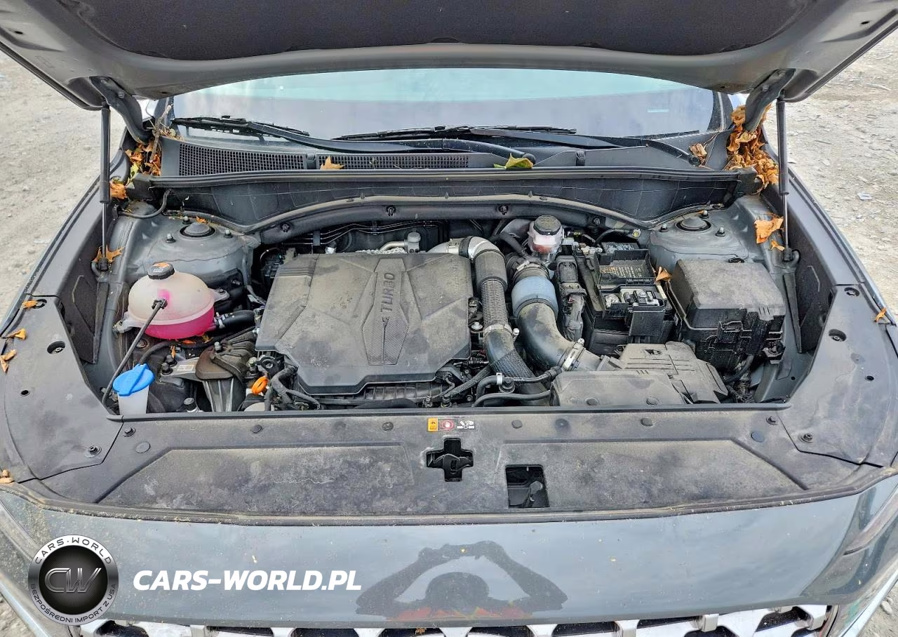 2023 Hyundai Santa Fe Limited VIN:5NMS4DAL7PH577518 - 12