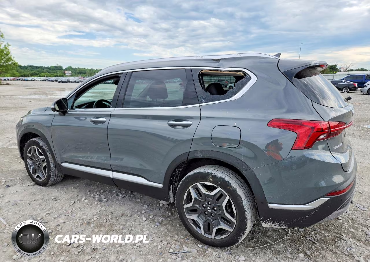2023 Hyundai Santa Fe Limited VIN:5NMS4DAL7PH577518 - 2