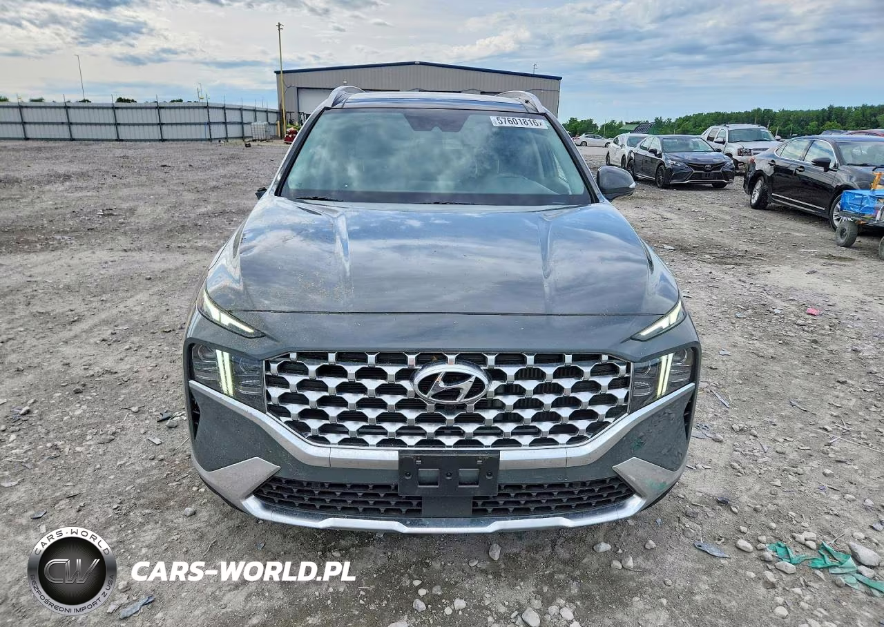 2023 Hyundai Santa Fe Limited VIN:5NMS4DAL7PH577518 - 5