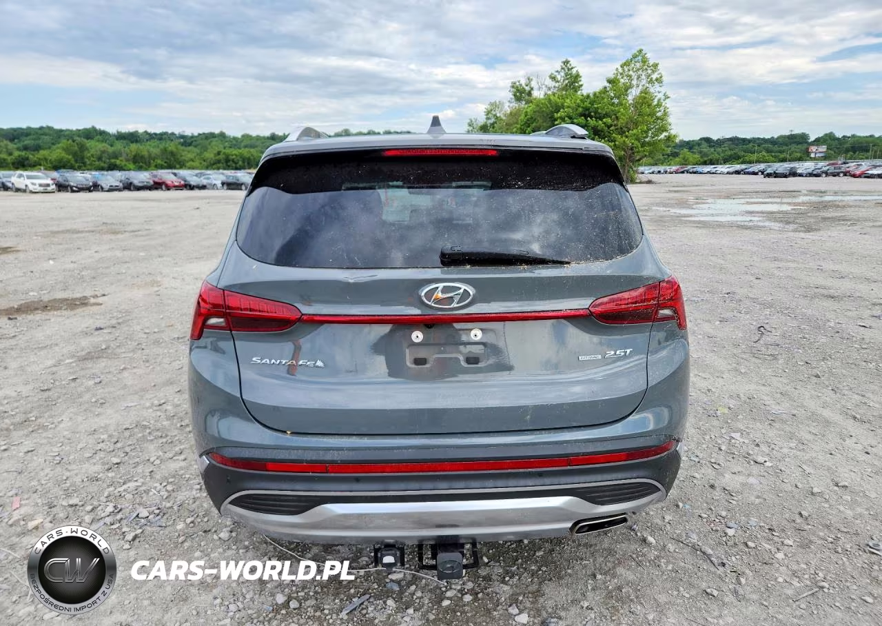 2023 Hyundai Santa Fe Limited VIN:5NMS4DAL7PH577518 - 6