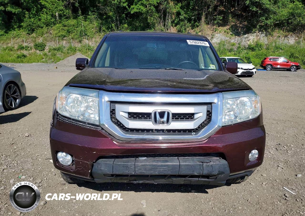 2009 Honda Pilot Exl VIN:5FNYF485X9B029285 - 5