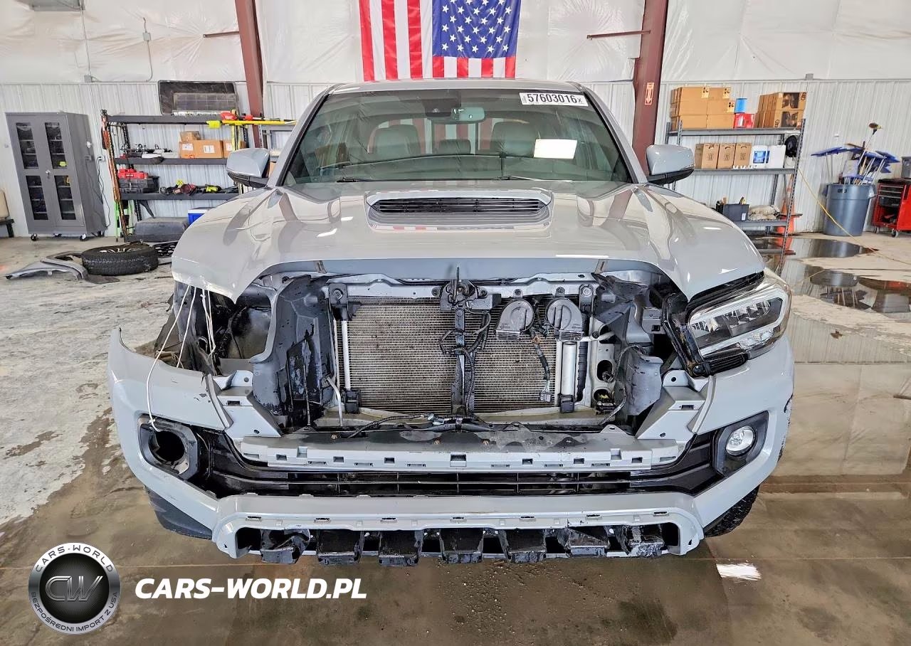 2020 Toyota Tacoma Trd Sport VIN:3TMCZ5ANXLM365961 - 5