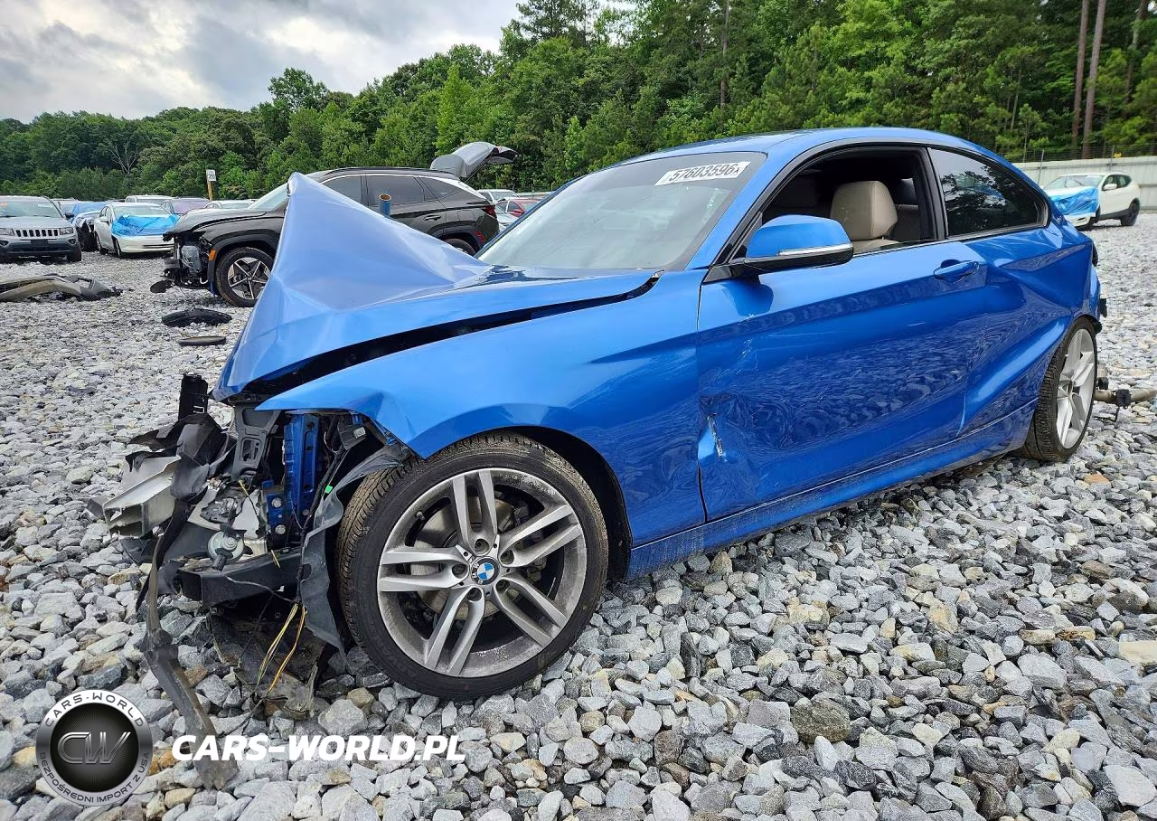 2017 BMW 230I