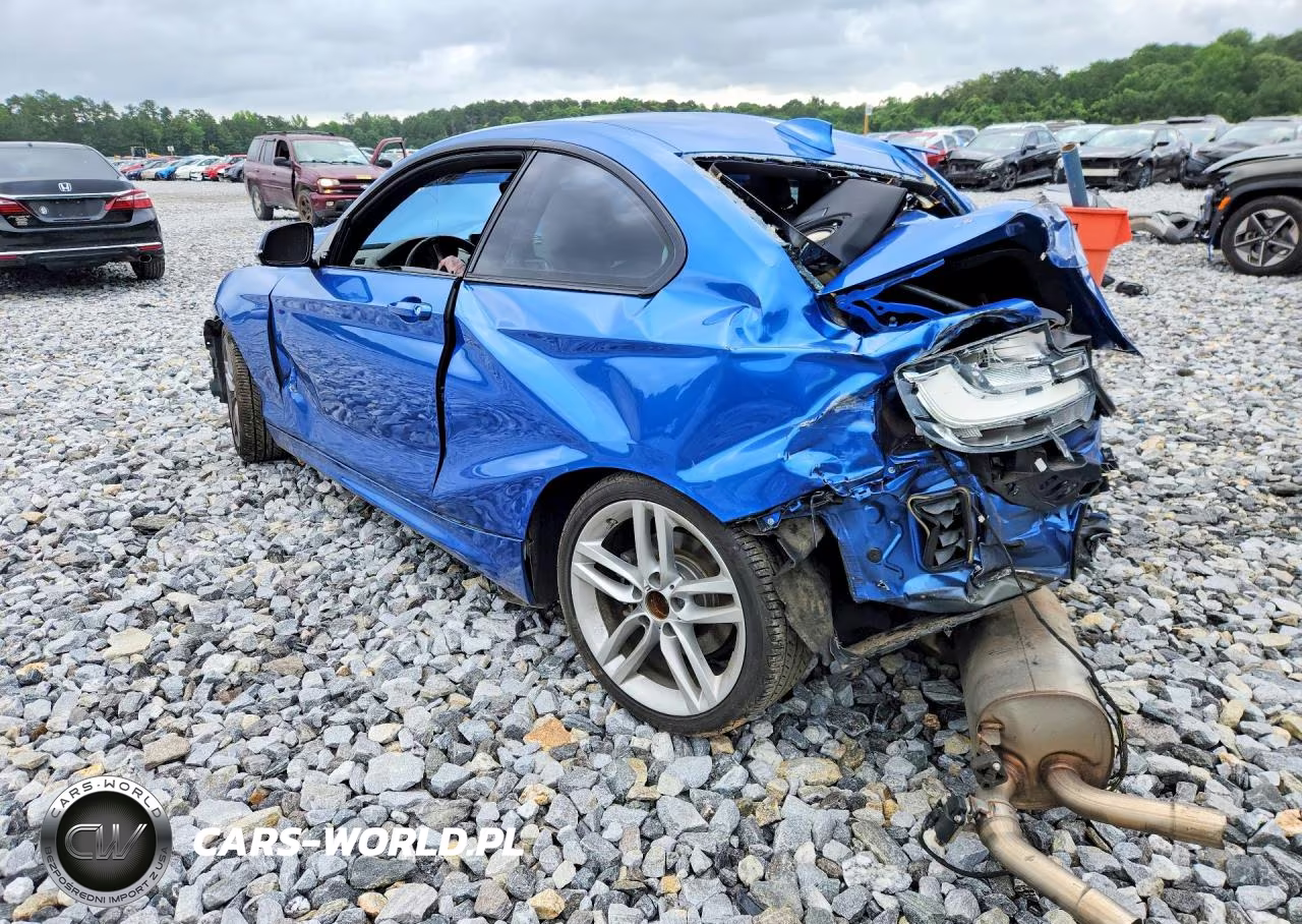 2017 BMW 230I VIN:WBA2F9C38HV984012 - 2