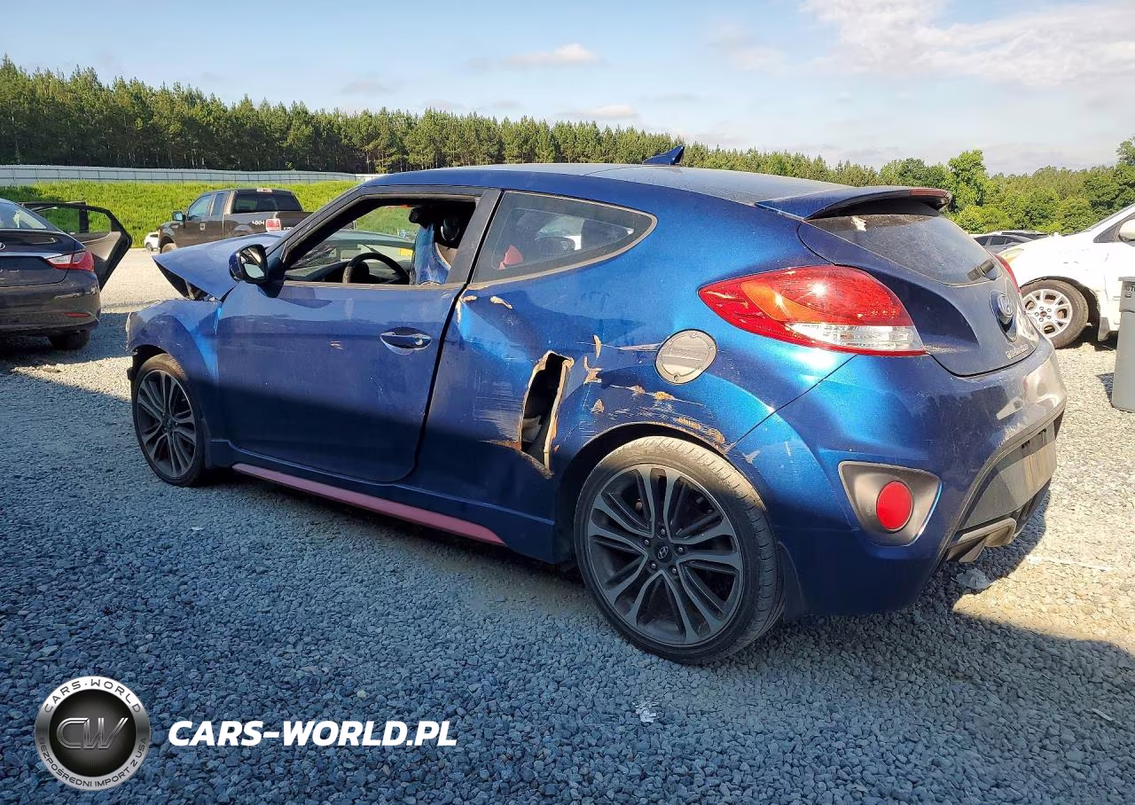 2016 Hyundai Veloster Turbo VIN:KMHTC6AE5GU282846 - 2