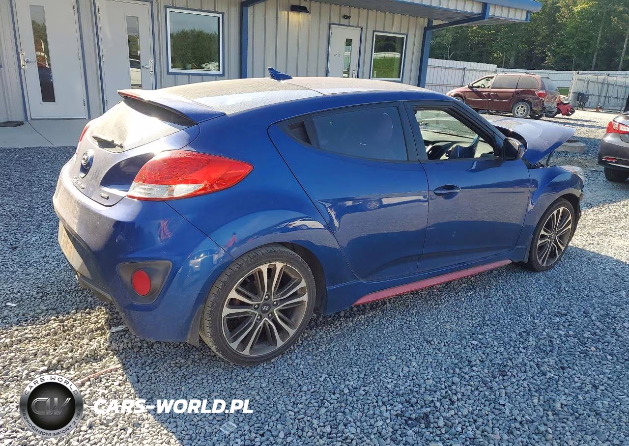 2016 Hyundai Veloster Turbo VIN:KMHTC6AE5GU282846 - 3