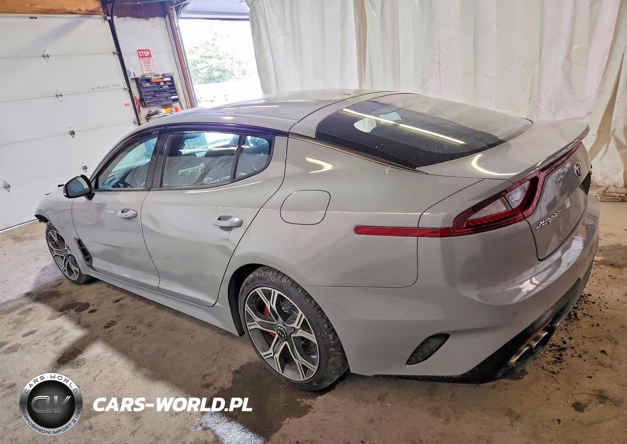 2019 Kia Stinger Gt1 VIN:KNAE45LC6K6053635 - 2