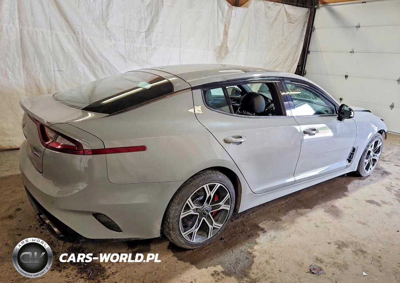 2019 Kia Stinger Gt1 VIN:KNAE45LC6K6053635 - 3