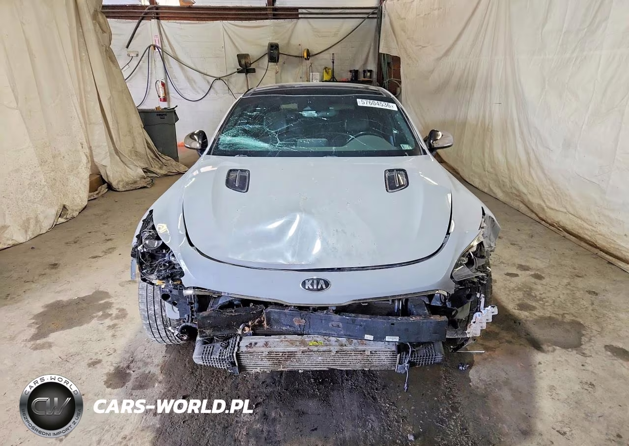 2019 Kia Stinger Gt1 VIN:KNAE45LC6K6053635 - 5