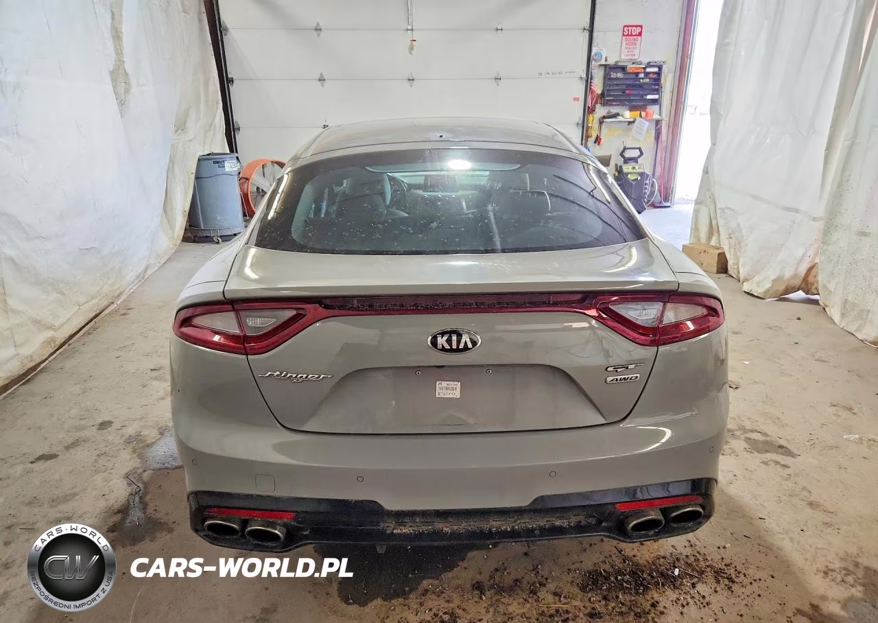 2019 Kia Stinger Gt1 VIN:KNAE45LC6K6053635 - 6