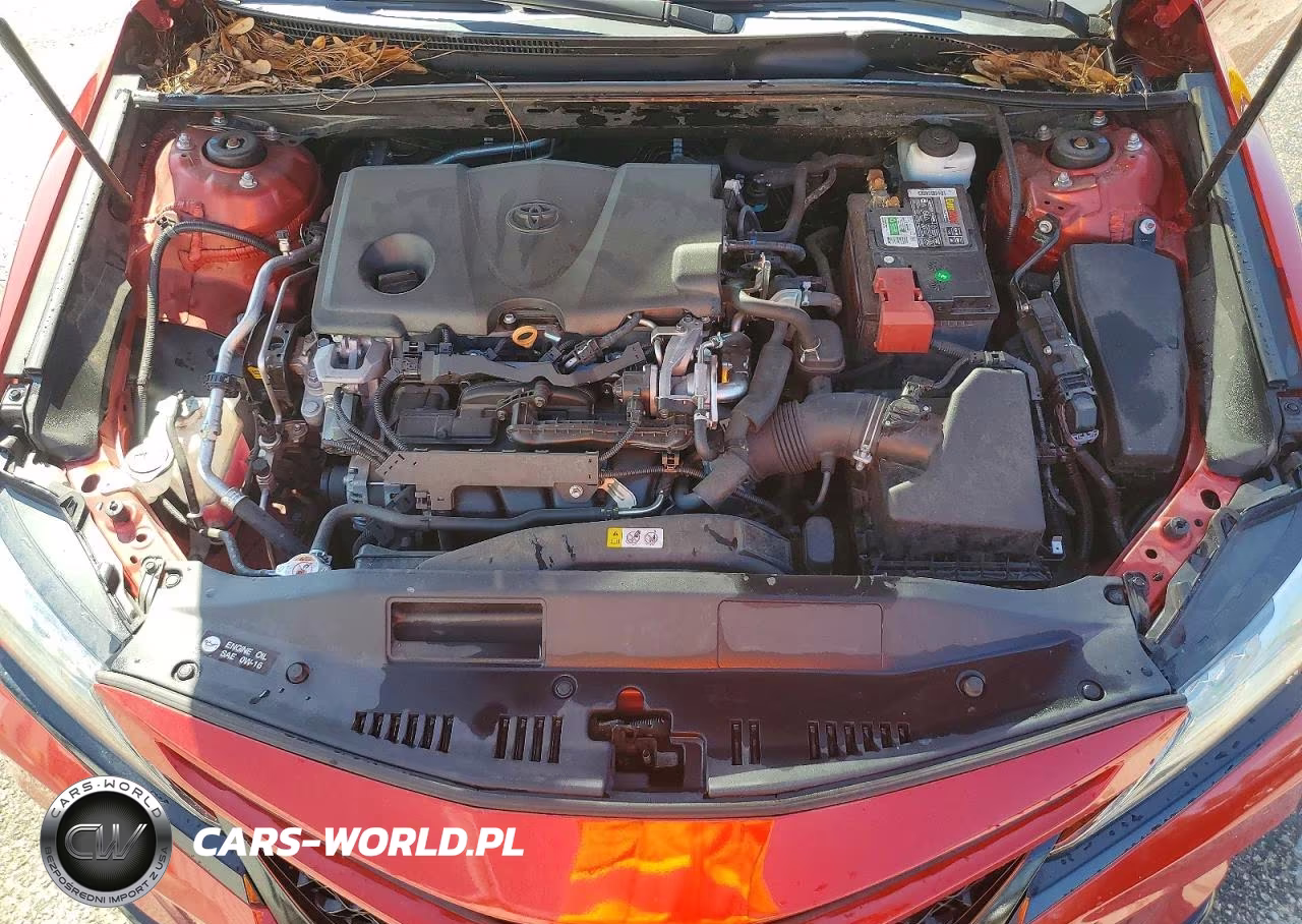2019 Toyota Camry Xse VIN:4T1B61HK2KU262158 - 11